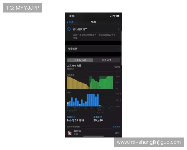 最稳pg电子嘻游记综合：电子游戏平台用户体验优化与稳定性提升的成功案例